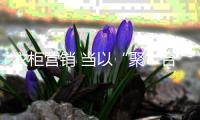 快排公司十年历程，霸屏兔 seo 的崛起与坚守