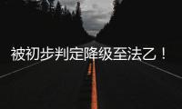 快排公司十年历程，霸屏兔 seo 的崛起与坚守