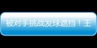 快排公司十年历程，霸屏兔 seo 的崛起与坚守