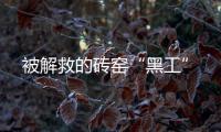 快排公司十年历程，霸屏兔 seo 的崛起与坚守
