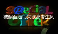 快排公司十年历程，霸屏兔 seo 的崛起与坚守