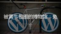 被黄牛包围的博物馆：免费预约标价50元，三星堆门票翻倍卖