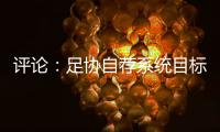 评论
：足协自荐系统目标需更加明确