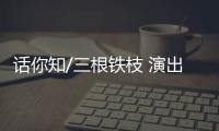 快排公司十年历程，霸屏兔 seo 的崛起与坚守