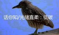 话你知/光储直柔：低碳建筑秘籍