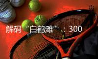 解码“白鹤滩”�：300米级大坝无一毫米级温度裂缝