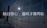 触目惊心
，温网才赛两轮

，草地巡回赛冠军竟大多出局