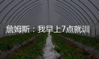 快排公司十年历程，霸屏兔 seo 的崛起与坚守