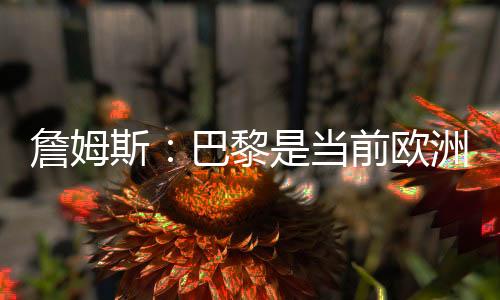 黎当连球亲友们就在一旁