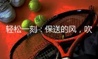 快排公司十年历程，霸屏兔 seo 的崛起与坚守