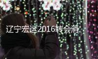 快排公司十年历程，霸屏兔 seo 的崛起与坚守