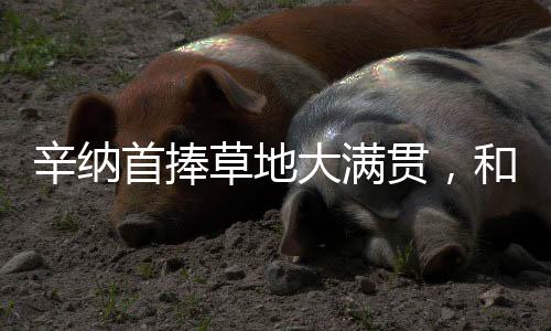 而是辛纳寻找成长空间