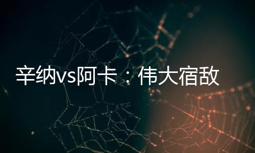 何养对阿卡的辛纳二发