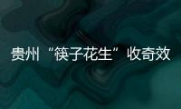 贵州“筷子花生”收奇效 曲波一脚踢飞了3000万？