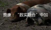 贾康
	：“数实融合”中加速现代化产业体系构建升级
