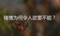 赌博为何令人欲罢不能
？