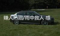快排公司十年历程，霸屏兔 seo 的崛起与坚守