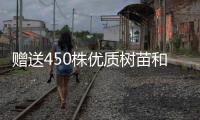 赠送450株优质树苗和花苗，珠海城管部门助力茂名美丽乡村建设