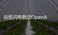 谷歌闪电截胡OpenAI	，挖走这家公司CEO与核心大脑