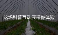 快排公司十年历程，霸屏兔 seo 的崛起与坚守
