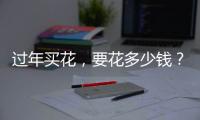 过年买花，要花多少钱	�？｜春节账单③