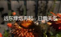 远东烽烟再起
，日俄关系为何再度紧张�？丨智库视点