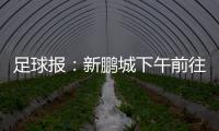 足球报：新鹏城下午前往武汉和三镇热身	，新帅穆尼奥斯随队前往