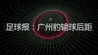 快排公司十年历程，霸屏兔 seo 的崛起与坚守