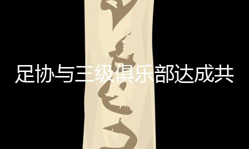 共识国际足联表示支持