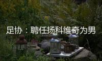 足协：聘任扬科维奇为男足国家队主教练