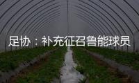 足协：补充征召鲁能球员刘洋入选国足集训名单