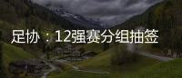 快排公司十年历程，霸屏兔 seo 的崛起与坚守