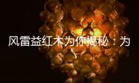 风雷益红木为你揭秘：为何红木家具这么贵?