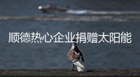 顺德热心企业捐赠太阳能路灯，用爱心照亮永泰小学校园