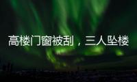 快排公司十年历程，霸屏兔 seo 的崛起与坚守