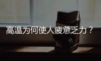 高温为何使人疲惫乏力？