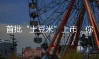 首批“土豆米”上市，你吃过吗？