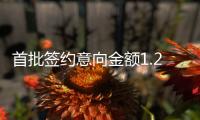 快排公司十年历程，霸屏兔 seo 的崛起与坚守