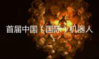 首届中国（国际）机器人辩论大赛启幕�，团队报名通道开放
