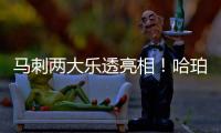 马刺两大乐透亮相	
！哈珀放话冲最佳新秀奖 首训看到邓肯波波马努