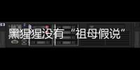 黑猩猩没有“祖母假说”模式？