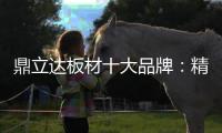 鼎立达板材十大品牌：精品滑轨火热上市