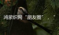 鸿蒙织网“朋友圈”，“这是决定生死的一战”
