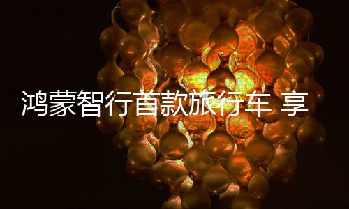 参考享界S9车型的首款定价
