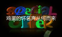 快排公司十年历程，霸屏兔 seo 的崛起与坚守