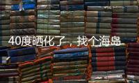 快排公司十年历程，霸屏兔 seo 的崛起与坚守