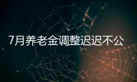 7月养老金调整迟迟不公布，人社部却悄悄更新一条动态�，意味着啥