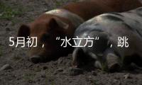 5月初，“水立方”
，跳水“梦之队”全主力出击！
