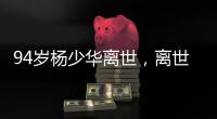 94岁杨少华离世，离世当天还参加活动	，最后露面骨瘦嶙峋没精神