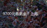 9700元悬赏金	！上海老赖何敏躲4年，小区大爷：她爱点三分糖奶茶